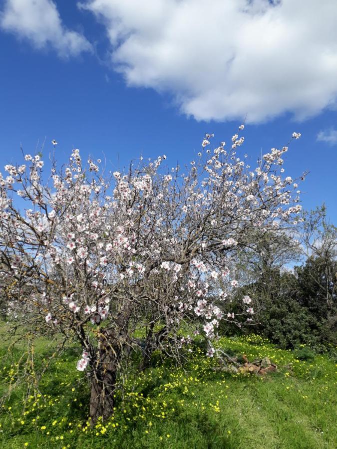 B&B S'Arrosa Antiga Santadi Εξωτερικό φωτογραφία